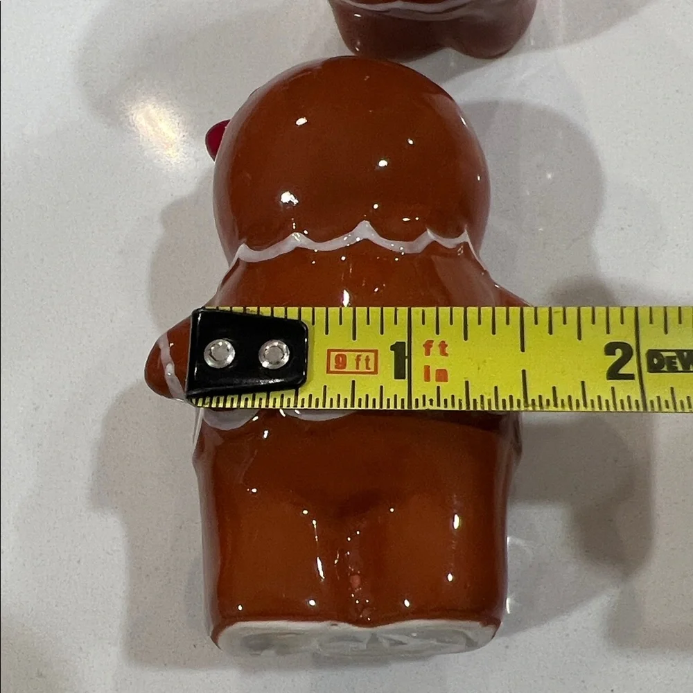 🫚Cute Gingerbread Sal & Pepper